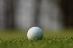 Golf Ball On Green Grass Stock Photo