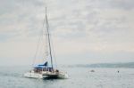 Marbella, Andalucia/spain - July 6 : Catamaran Entering The Harb Stock Photo