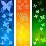 Butterflies Copyspace Indicates Blank Flying And Backdrop Stock Photo