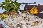 Various Fresh Seafood On Ice Exposition At The Outdoor Restauran Stock Photo