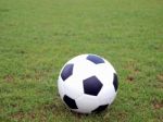 Soccer Ball On Green Grass Stock Photo