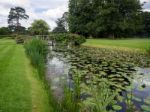 Water Lilies At Hever Castle Stock Photo