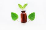 A Bottle Of Melissa Lemon Balm Essential Oil Stock Photo