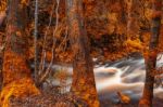 Newell Creek In Tasmania Stock Photo