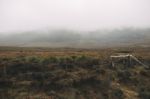 Foggy Field On The Mountain  Stock Photo