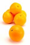 Oranges Stock Photo