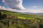 Val D'orcia, Tuscany/italy - May 19 : Farmland In Val D'orcia Tu Stock Photo