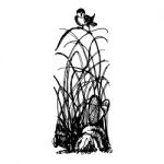 Bird On Clump Of Grass Doodle Stock Photo