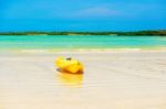 El Garrapatero Beach On Santa Cruz Island In Galapagos Stock Photo