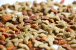 Closeup Of Pet Food Stock Photo