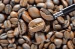 Coffee Beans Stock Photo