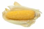 Corn Ear Isolated Stock Photo