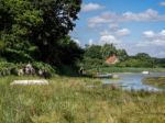 Horse Riding And Walking The Dog By The River Alde Stock Photo