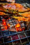  Grilled Seafood Stock Photo