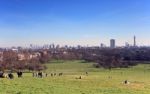 Primrose Hill Stock Photo