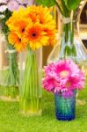 Colorful Flower In Vase Stock Photo