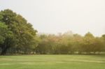 Blurred Image Of Green Park Scenery Stock Photo