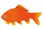 Goldfish Stock Photo