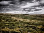 Atmospheric Moorland Stock Photo