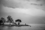 Trees On The Shore At Riva Del Garda Stock Photo