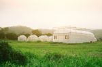 Plant Nursery Of Organic Vegetable Surrounded Stock Photo