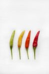 Chili Peppers On White Stock Photo