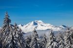 Snowy White Mountains Range With Trees And Blue Sky Stock Photo