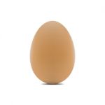 Egg Realistic Design  Illustration Stock Photo