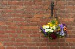 Hanging Flowers Pot Stock Photo