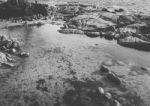 Bay Of Fires In Binalong Bay Stock Photo