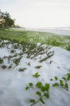 Burleigh Heads Beach During The Day Stock Photo