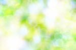 Abstract Spring Green Background And Light Reflect Stock Photo