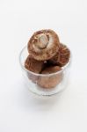 Shiitake Mushrooms Isolated  Stock Photo