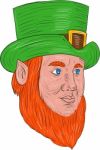 Leprechaun Head Three Quarter View Drawing Stock Photo