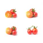 Tomato Stock Photo