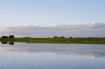 Spring Countryside Lake Landscape Stock Photo