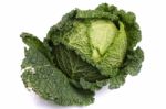 Fresh Savoy Cabbage Stock Photo