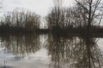 Reflection Of A Tree In The River Stock Photo