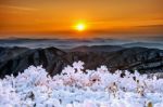 Beautiful Sunrise On Deogyusan Mountains Covered With Snow In Winter,south Korea Stock Photo