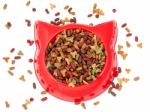 Dry  Multicolored  Pet Food For Cat In The Red Plastic Bowl Stock Photo