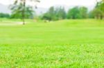 Landscape Of A Green Field Stock Photo