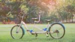 Tandem Bicycle In The Park Stock Photo