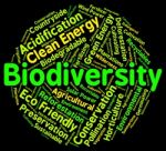 Biodiversity Word Means Plant Life And Animal Stock Photo