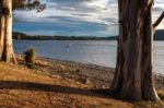 Seaplane Moored At Lake Te Anau Stock Photo