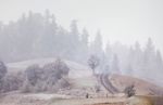 First Snow In Autumn. Snowfall In Mountains Stock Photo