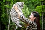 Women Hold Baby White Bengal Tiger Stock Photo