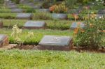 Gravestone Stock Photo