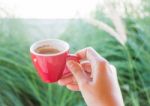 Woman Holds A Red Coffee Cup (vintage Style Color) Stock Photo