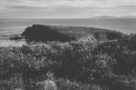 View Of Bruny Island Beach During The Day Stock Photo