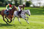 Point To Point Racing At Godstone Stock Photo